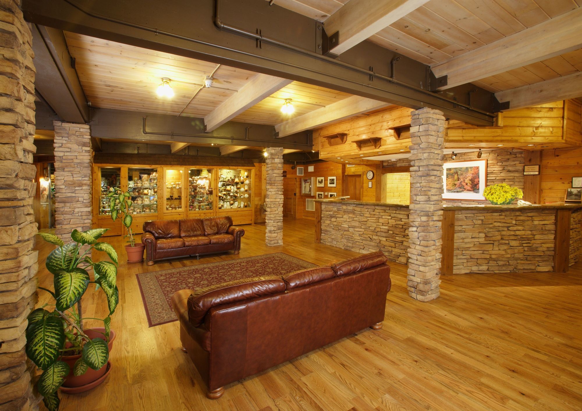 Zion Lodge Спрингдейл Екстериор снимка
