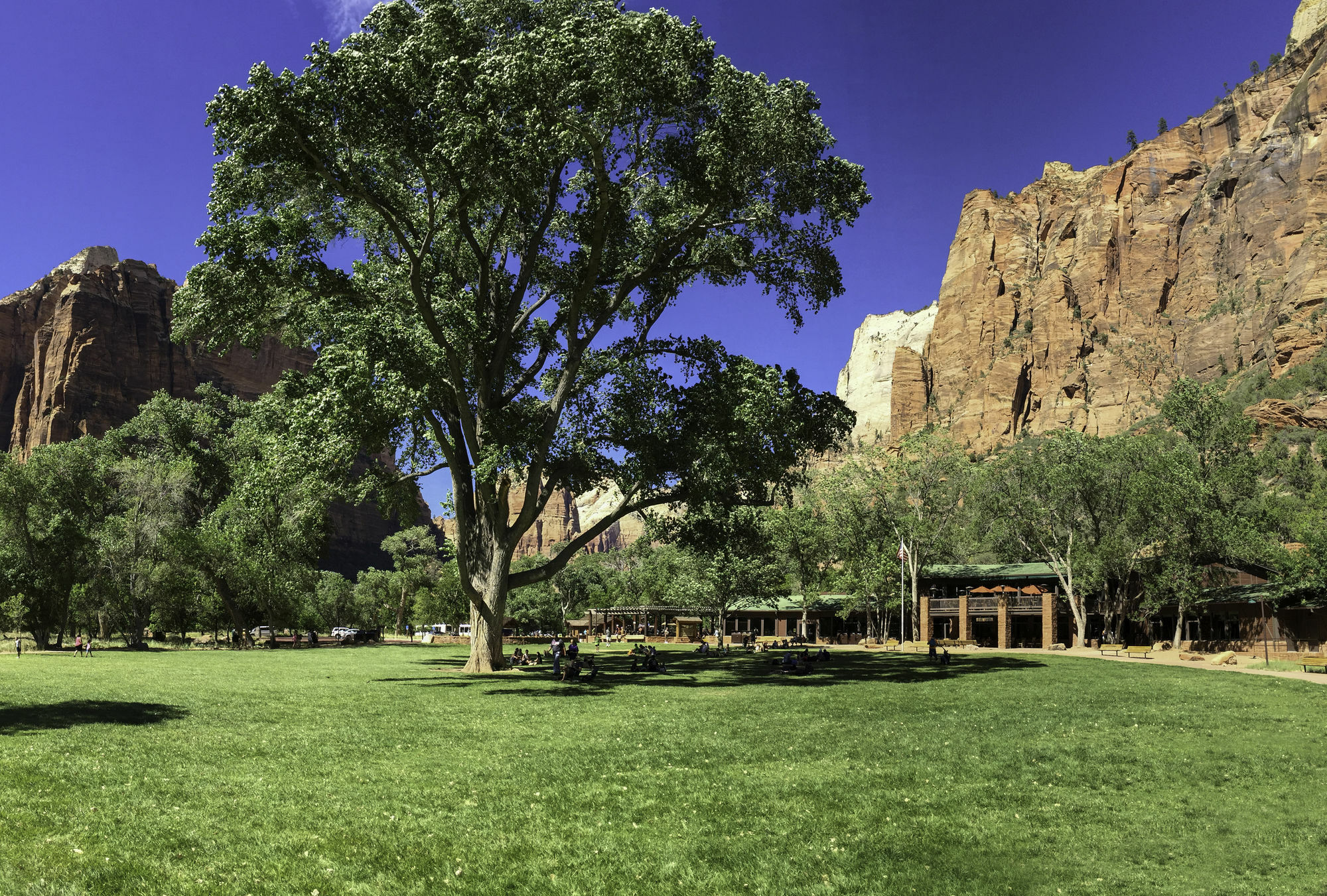 Zion Lodge Спрингдейл Екстериор снимка