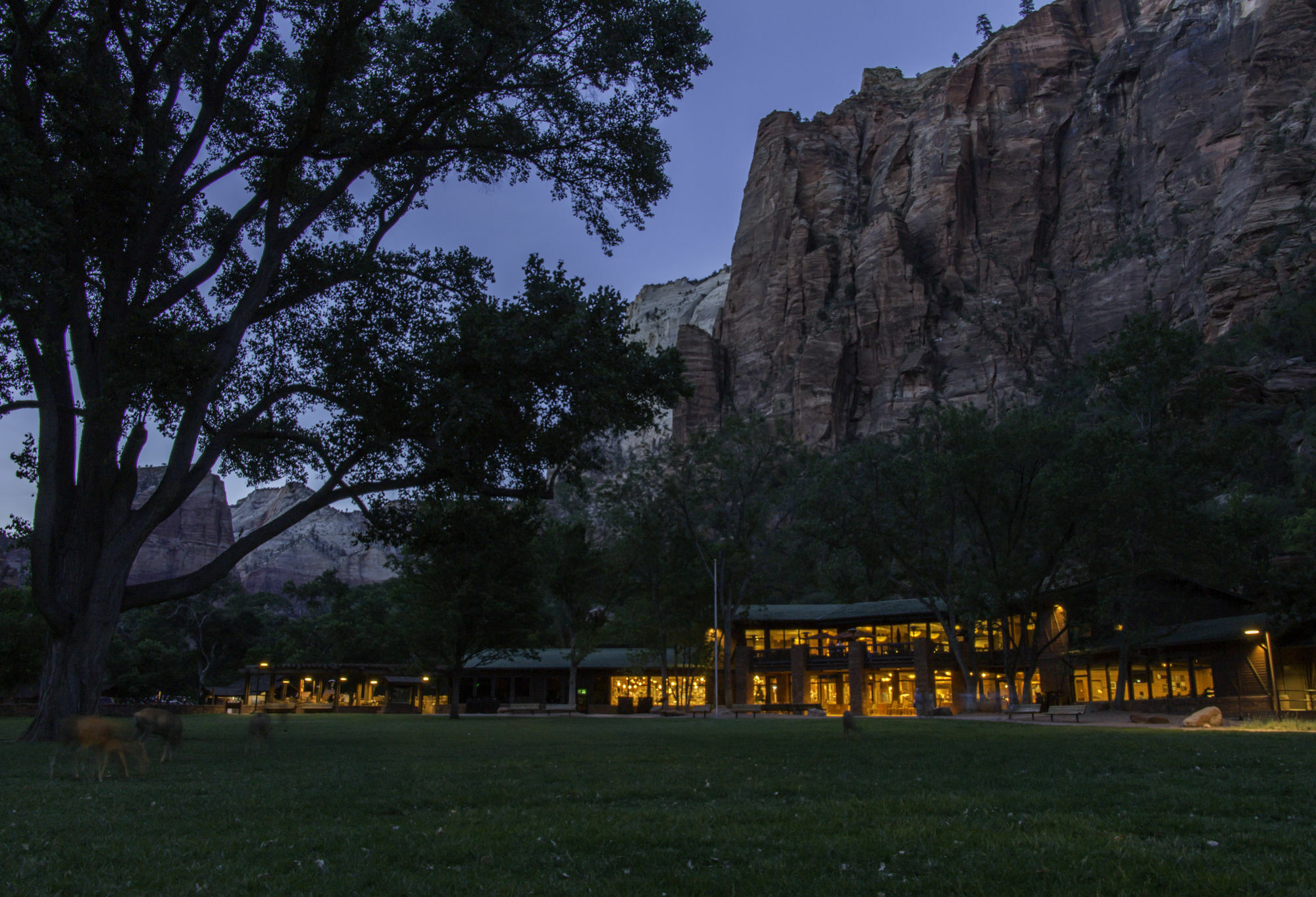 Zion Lodge Спрингдейл Екстериор снимка