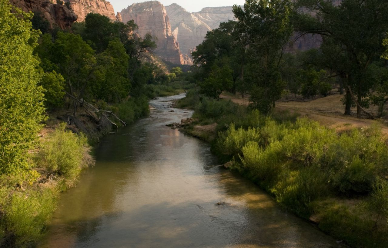Zion Lodge Спрингдейл Екстериор снимка